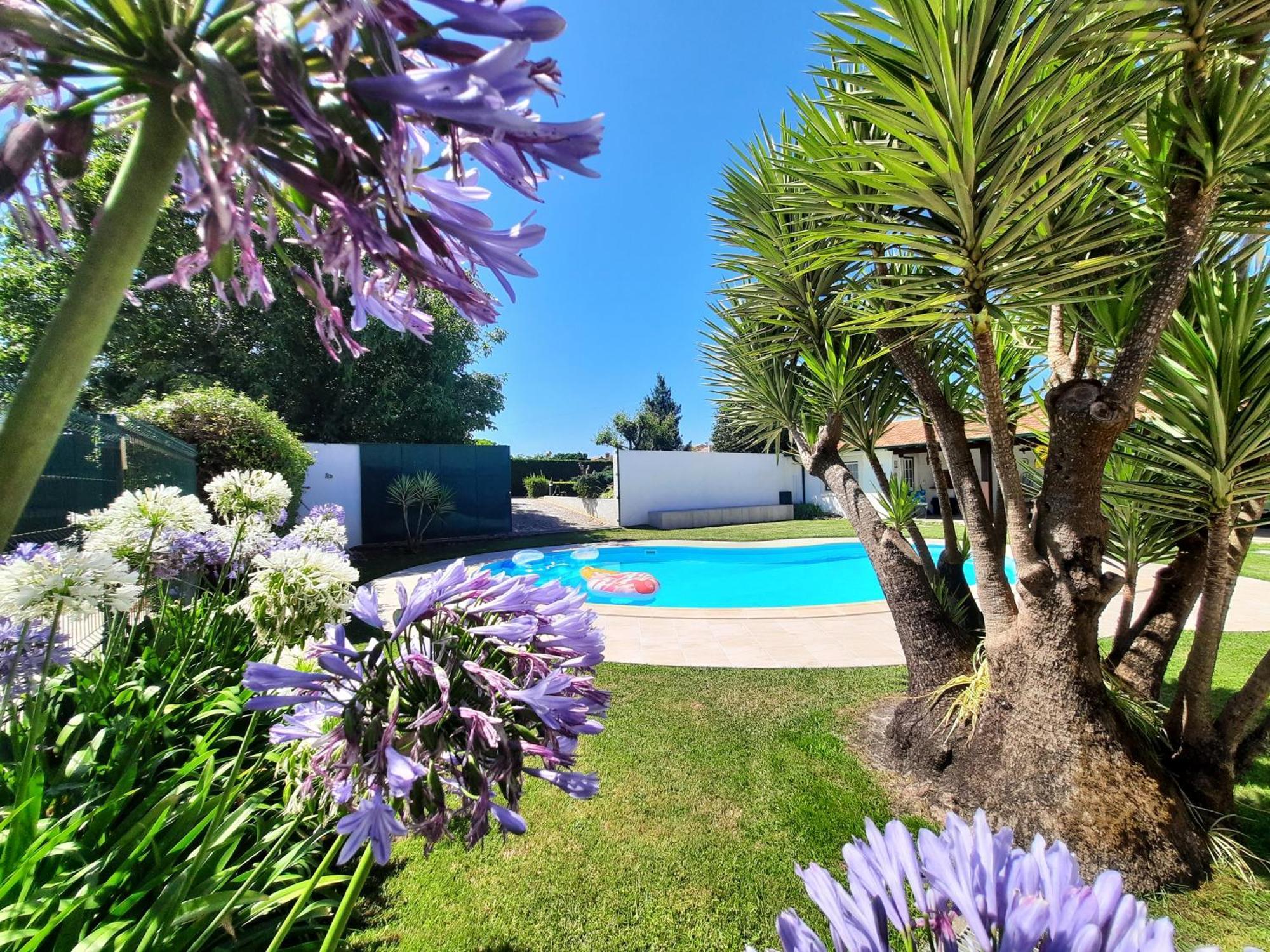 Villa Qm - Quinta Da Morgadinha - Casa Em Quinta Rural Cabecos Exterior foto