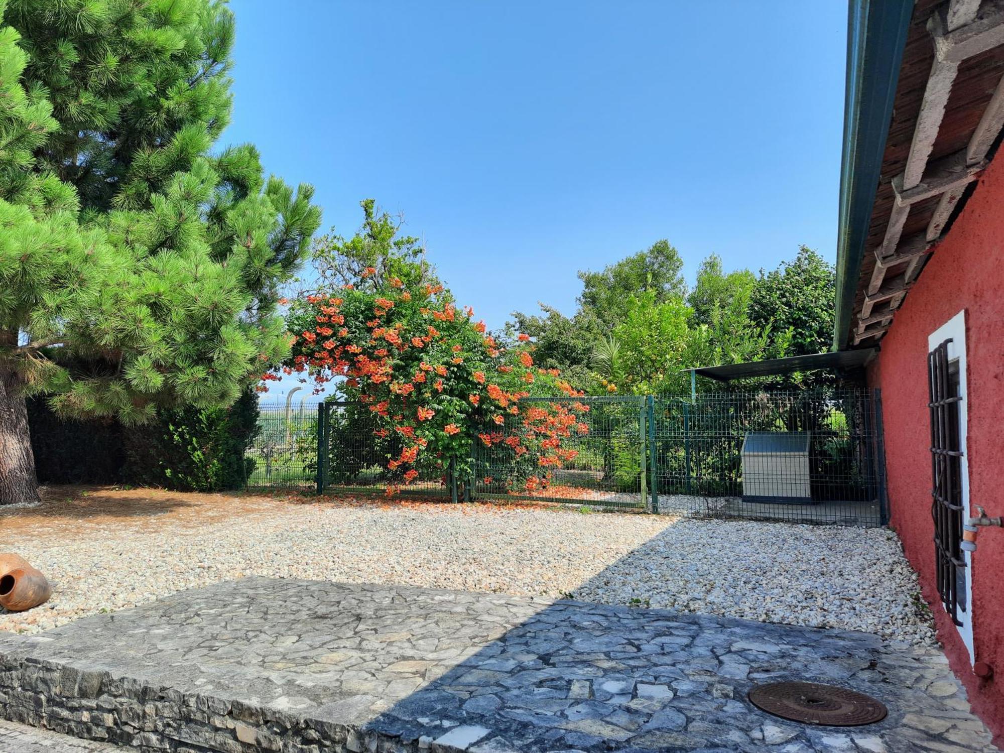 Villa Qm - Quinta Da Morgadinha - Casa Em Quinta Rural Cabecos Exterior foto
